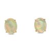 Gem Shopping Cut By Ben Opal Earrings In 14K | Opal